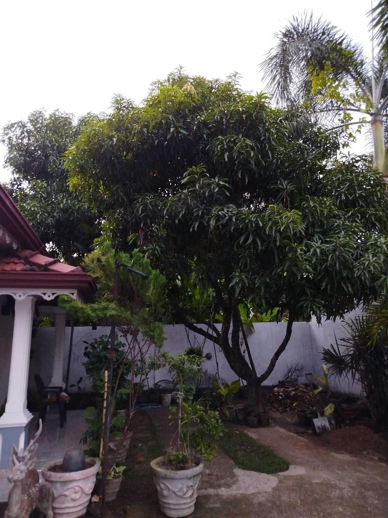 Cosy White Palace — main photo
