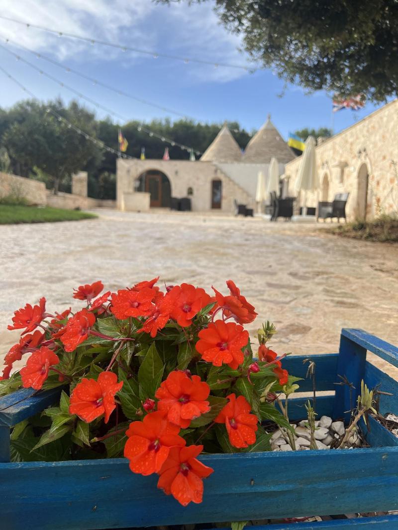 Locazione Turistica Il Boschetto