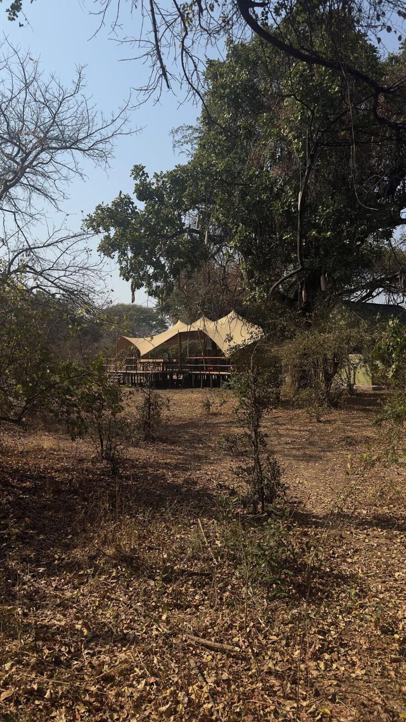 Camp Sabali Safaris