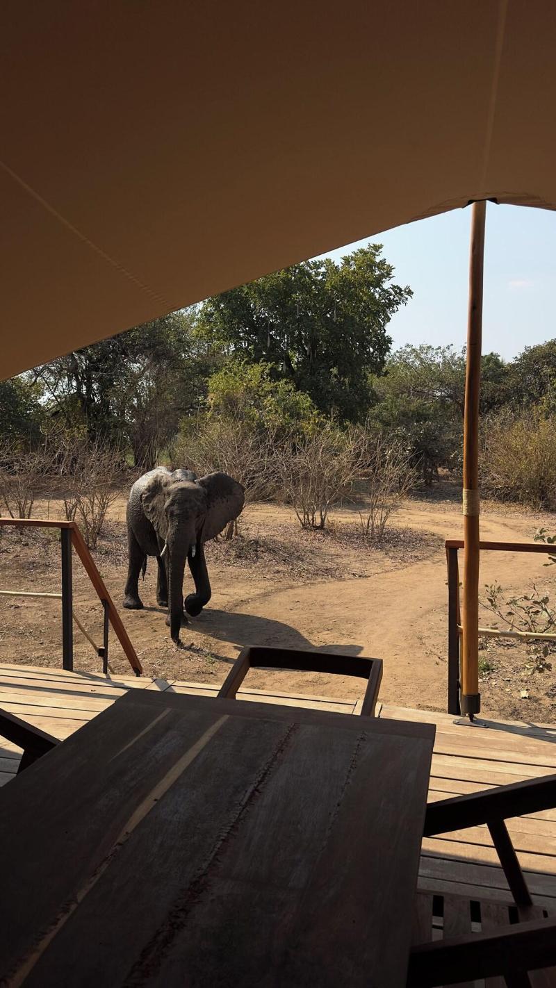 Camp Sabali Safaris