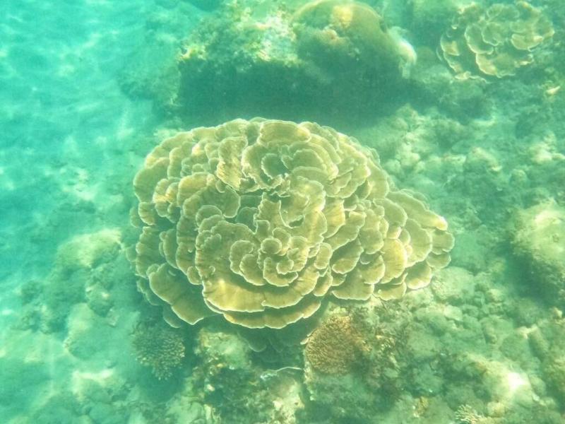 Dulan Najie Bay Inn image