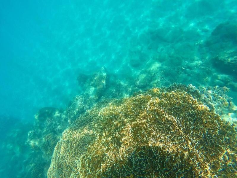 Dulan Najie Bay Inn image
