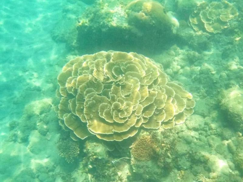 Dulan Najie Bay Inn image
