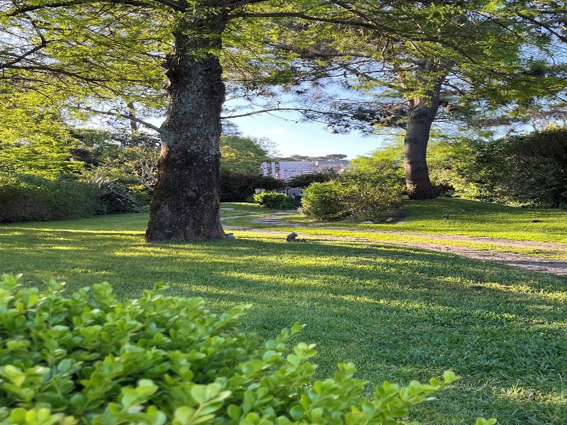 Arsamici Hotel image