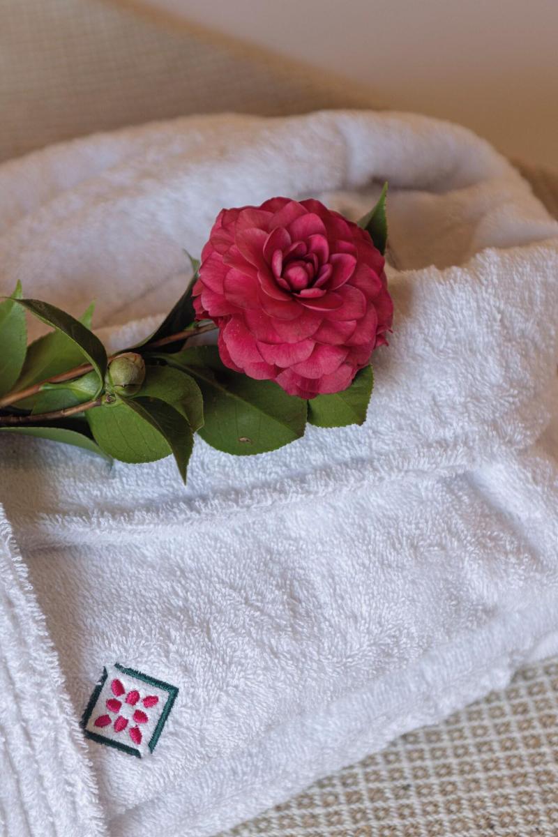 Hotel Emblema Tico La Casa De La Camelia image