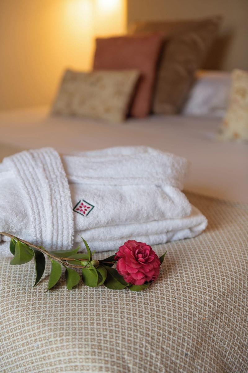 Hotel Emblema Tico La Casa De La Camelia image