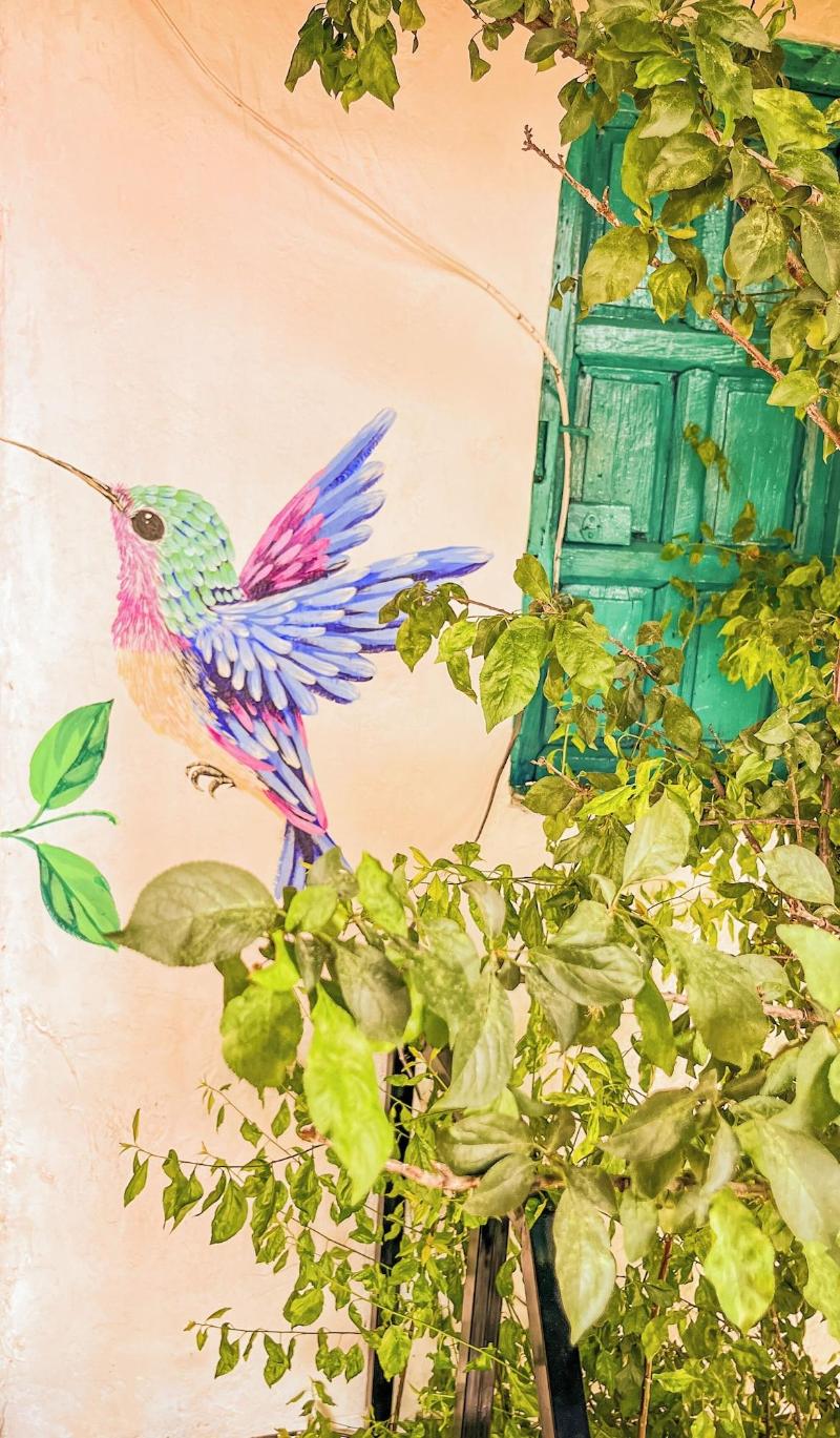 Casa Flamenco image