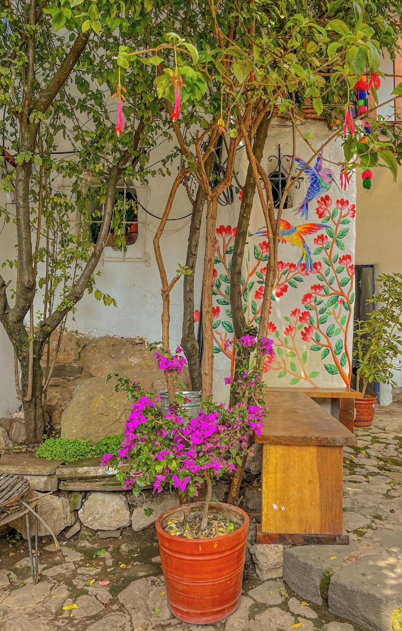 Casa Flamenco image