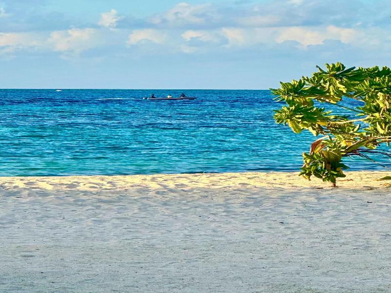 Noah Private Beach House image
