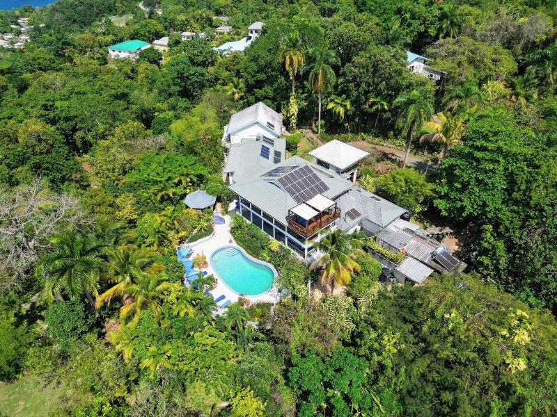Lf Jungle Retreat image