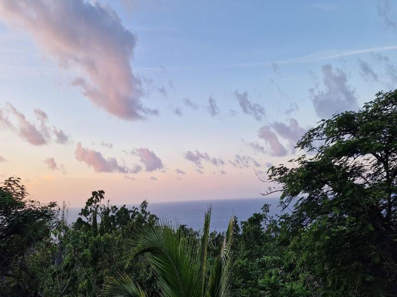 Lf Jungle Retreat image