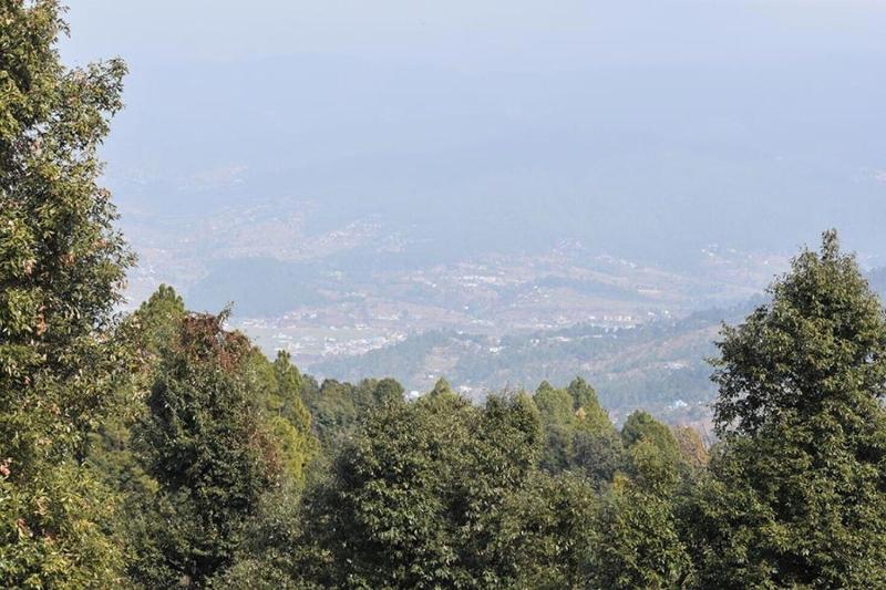 Blossom Hideaway Kausani image