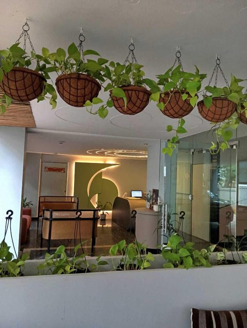 Miraya Inn image