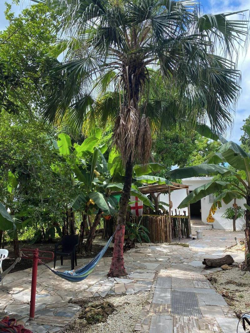 Inez Roots Hostel image