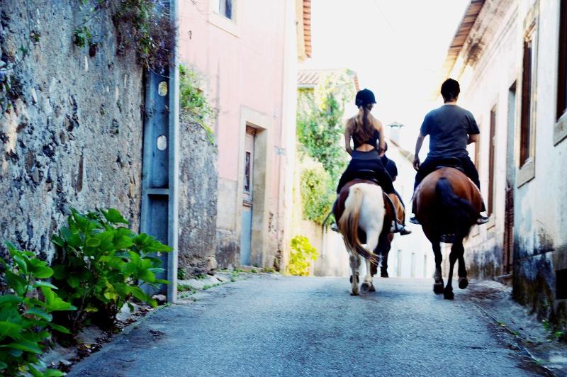 Bed And Breakfast Equitare Rural