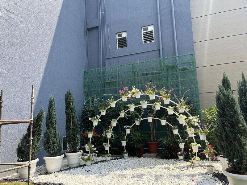 Stalwart Jajati image