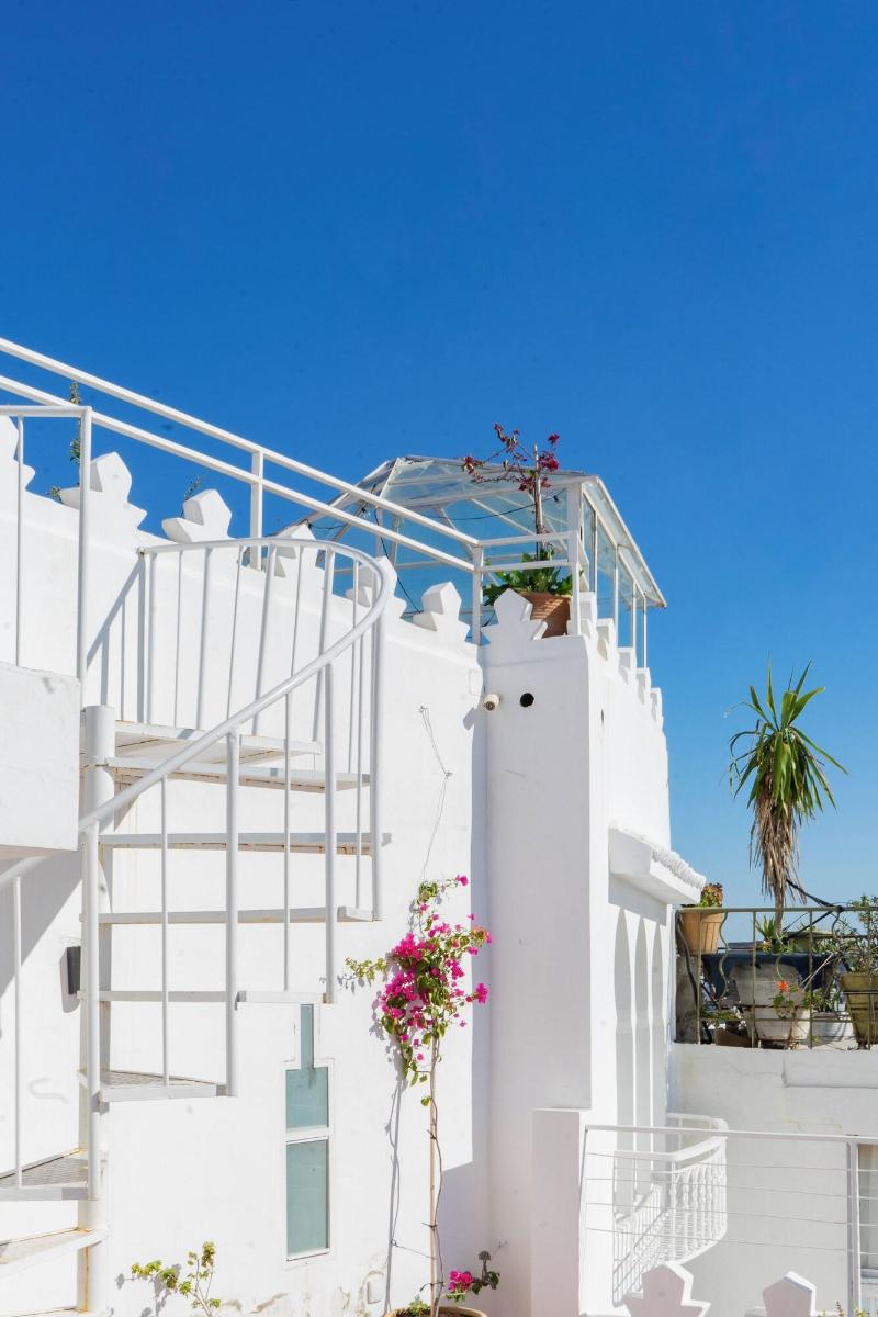 Absinthe Tangier image