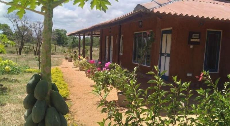 Tiara Elephant Lodge image
