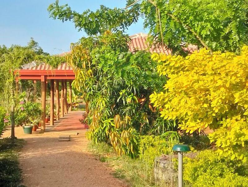 Tiara Elephant Lodge image