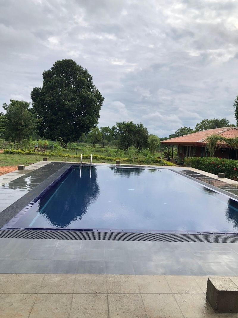 Tiara Elephant Lodge image