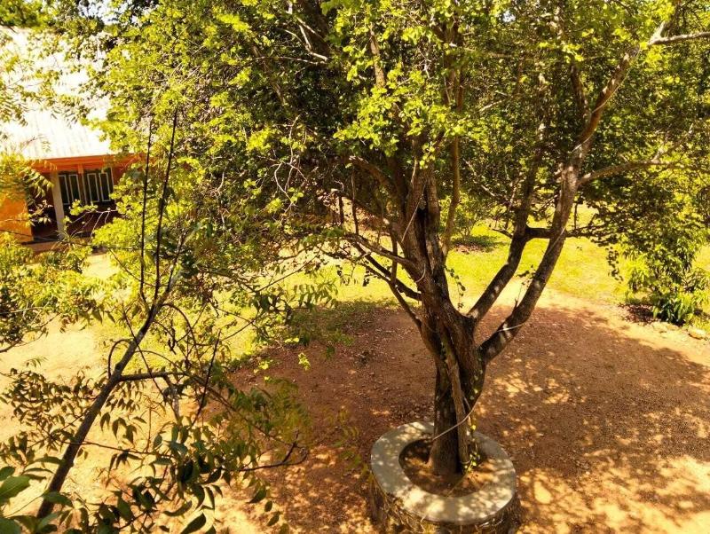 Tiara Elephant Lodge image