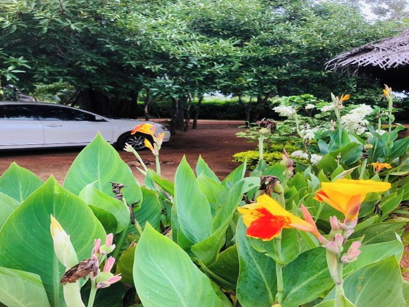Tiara Elephant Lodge image