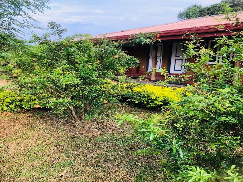 Tiara Elephant Lodge image