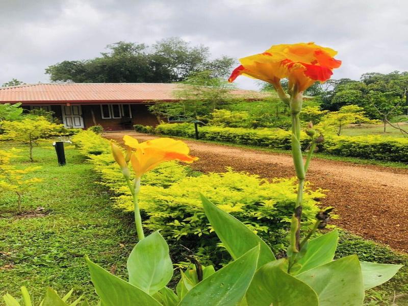 Tiara Elephant Lodge image