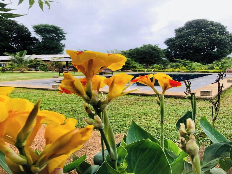 Tiara Elephant Lodge image