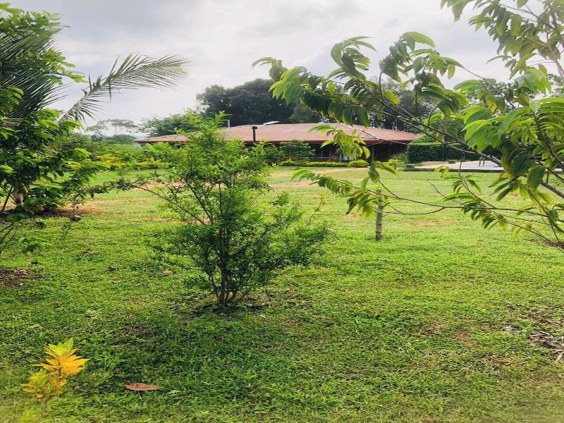 Tiara Elephant Lodge image