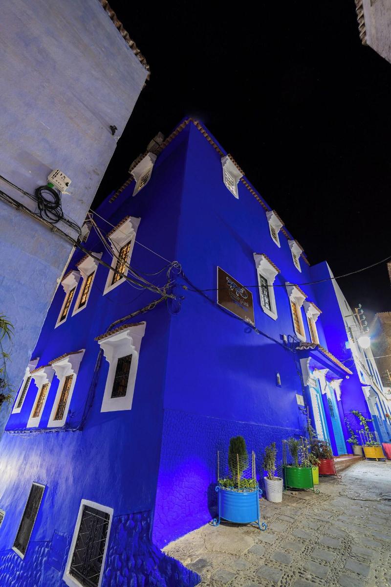 Iguana Azul image