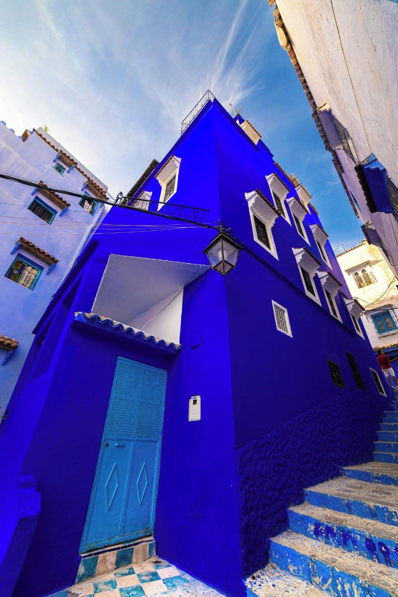 Iguana Azul image