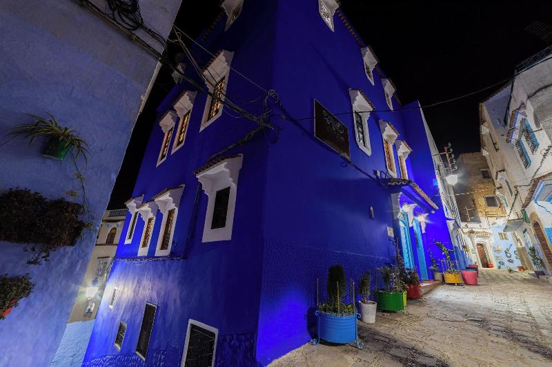 Iguana Azul image