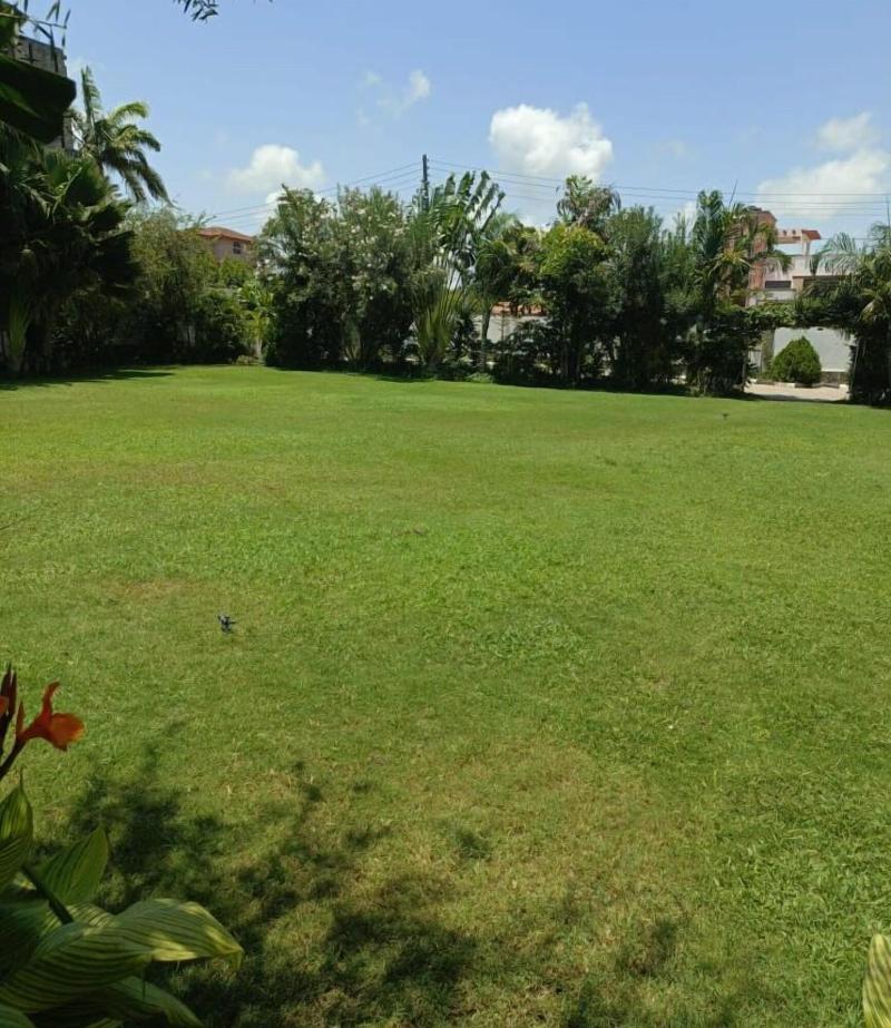 Chamiachi Hotel And Luxury Apartments image