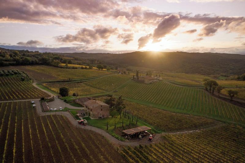 Wine Estate Paradiso Di Cacuci image