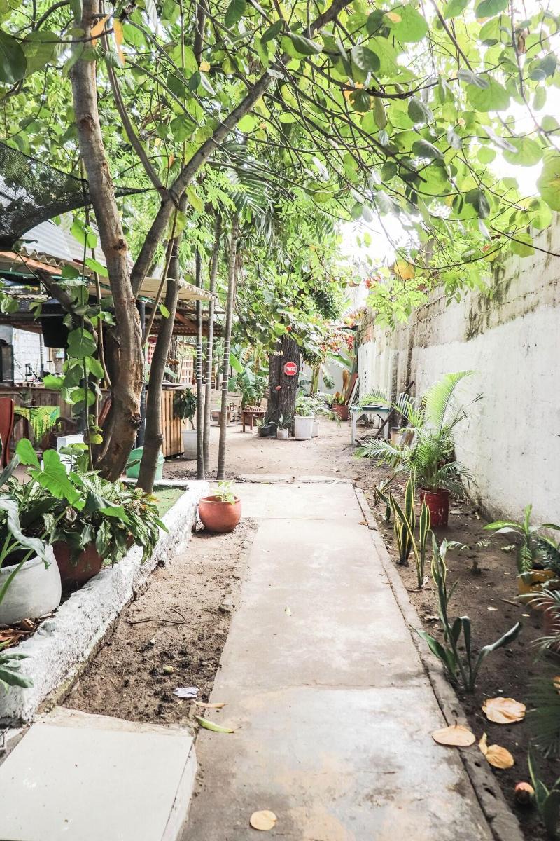 Nahimara Champeta Hostel image
