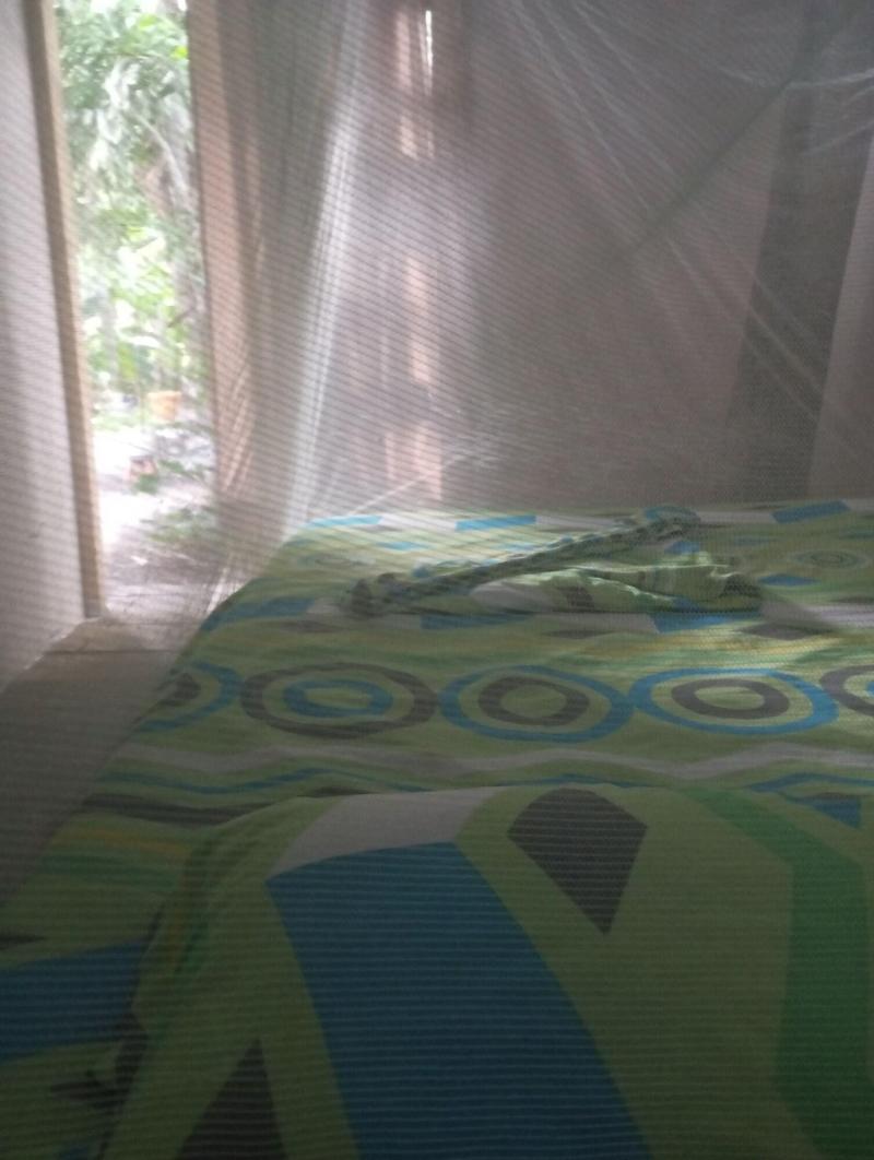 Nahimara Champeta Hostel image