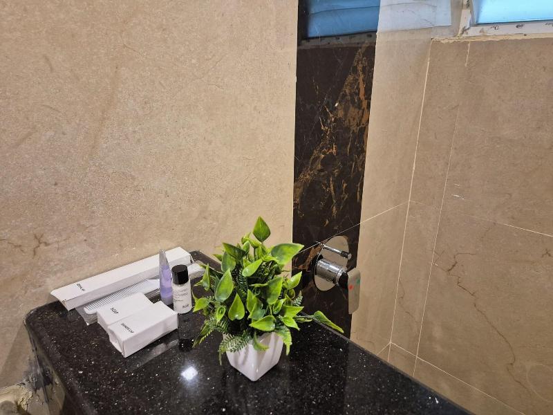 Hotel Janas image