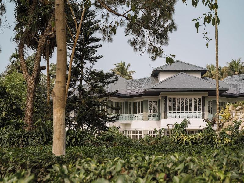 The Postcard In The Durrung Tea Estate
