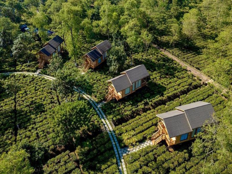 The Postcard In The Durrung Tea Estate