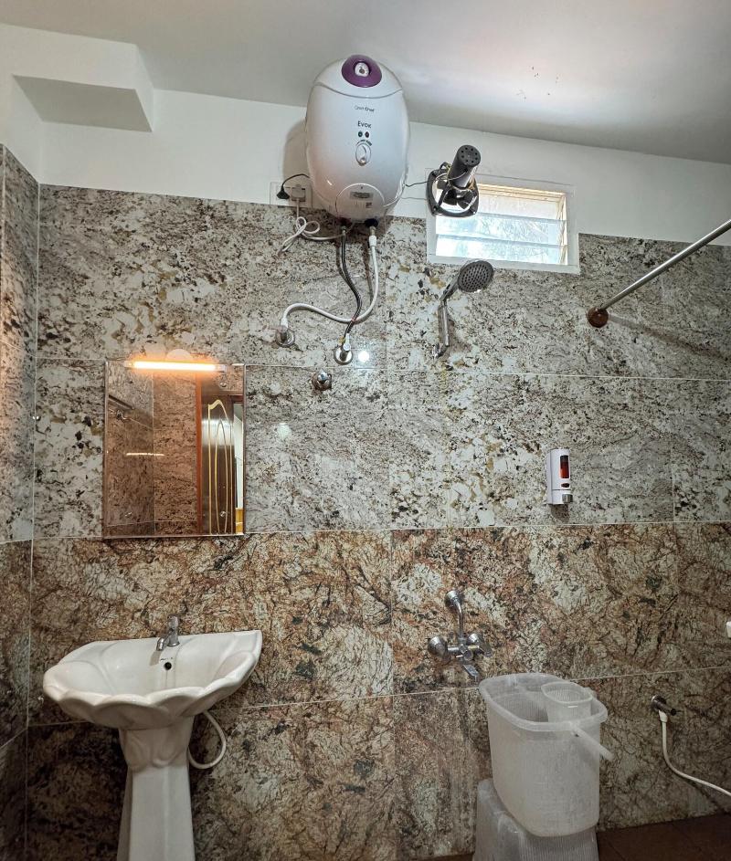 Hotel Boss Palace image