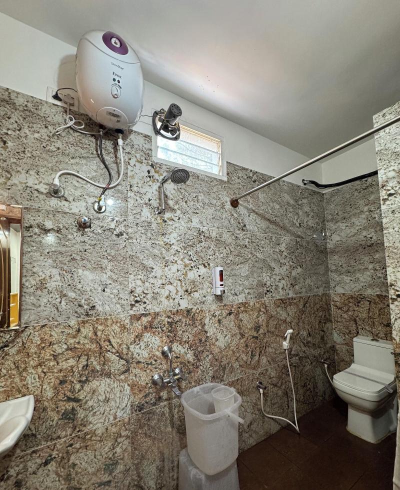 Hotel Boss Palace image