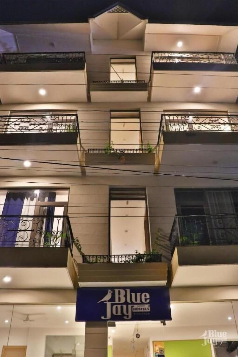 The Blue Jay Hostel Rishikesh image