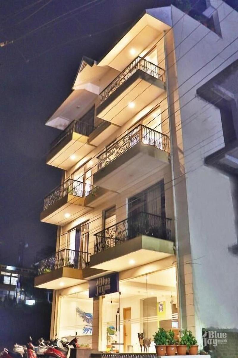 The Blue Jay Hostel Rishikesh image