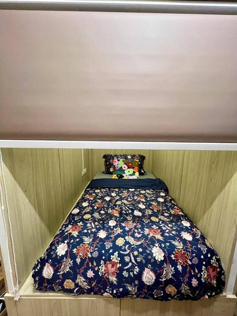 Comfy Crib Hostel 2 image