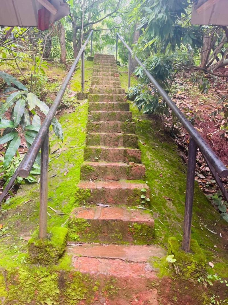Rajgad Farms Agritourism image