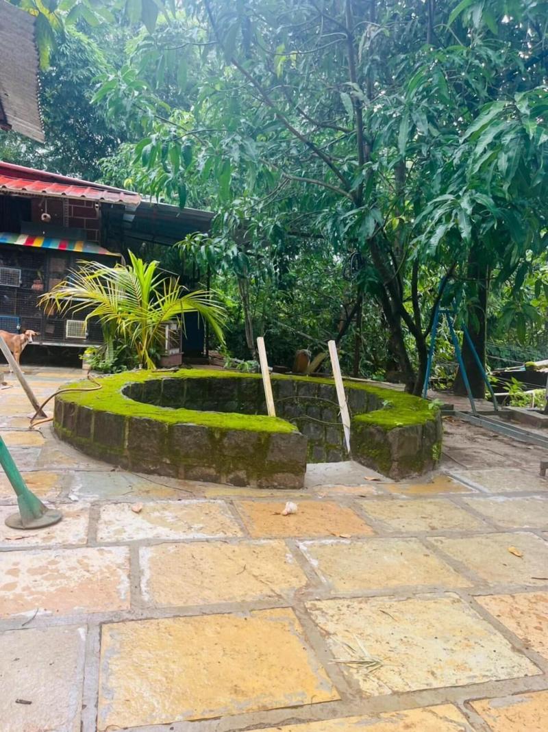 Rajgad Farms Agritourism image