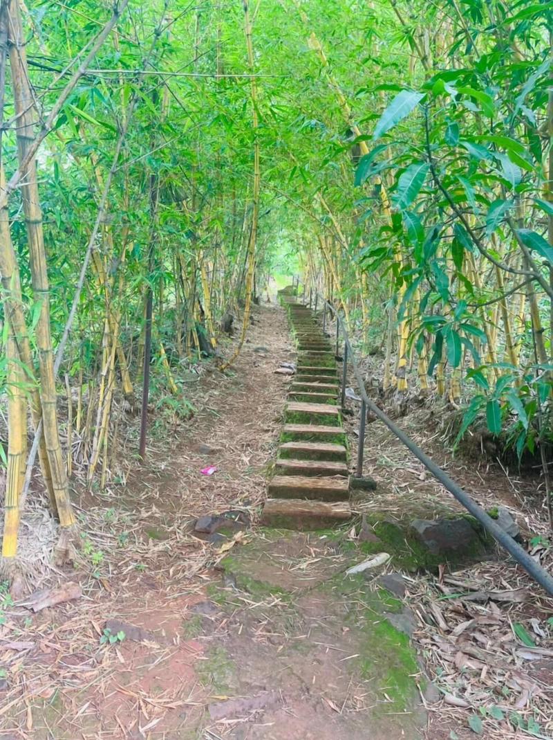 Rajgad Farms Agritourism image