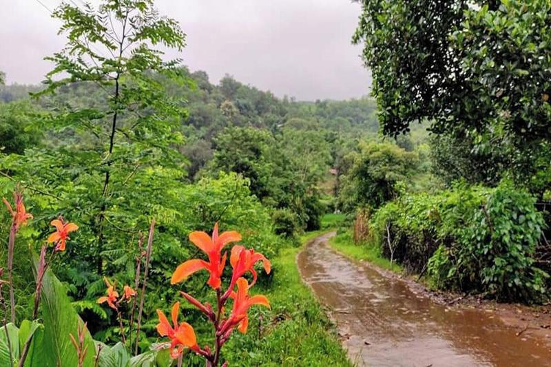 Rajgad Farms Agritourism image