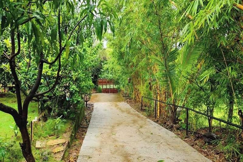 Rajgad Farms Agritourism image